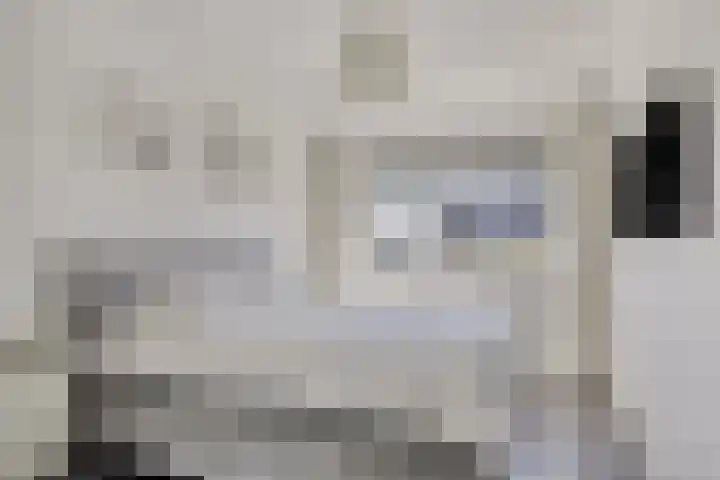Vlasakker 12 Heino thumbnail 18