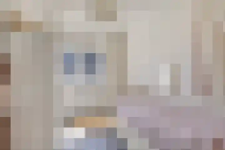 Vlasakker 12 Heino thumbnail 22