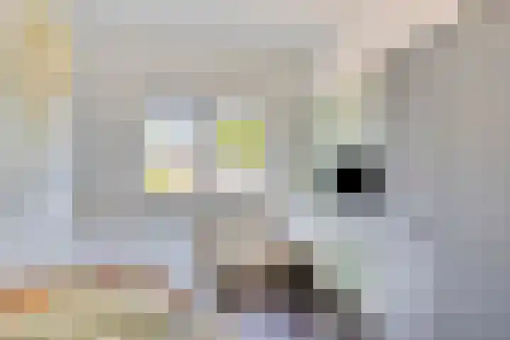 Vlasakker 12 Heino thumbnail 24