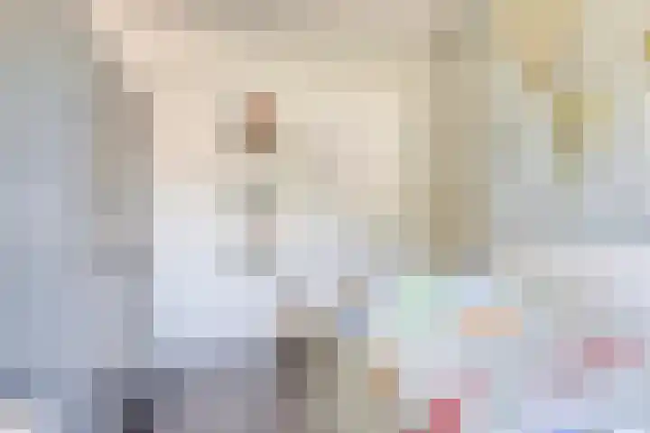 Vlasakker 12 Heino thumbnail 25