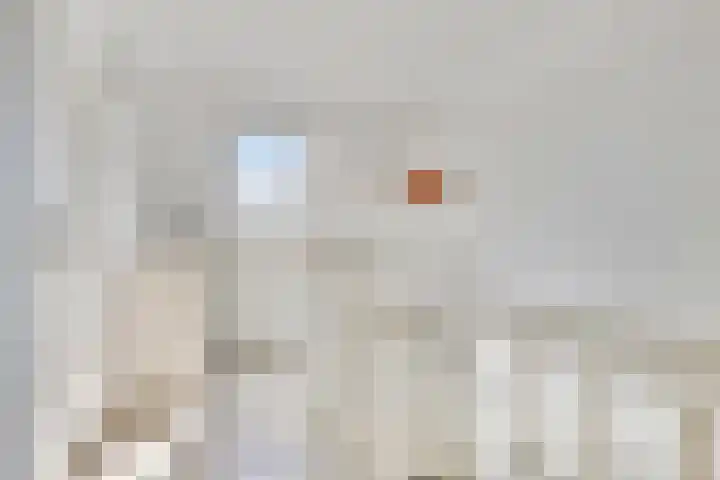Vlasakker 12 Heino thumbnail 26