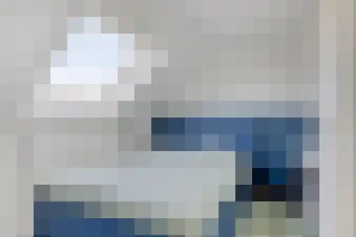 Vlasakker 12 Heino thumbnail 29