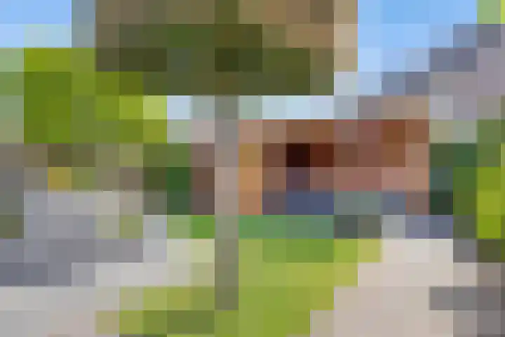 Vlasakker 12 Heino thumbnail 30