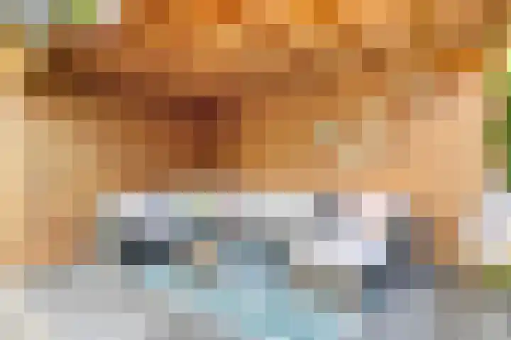 Vlasakker 12 Heino thumbnail 32