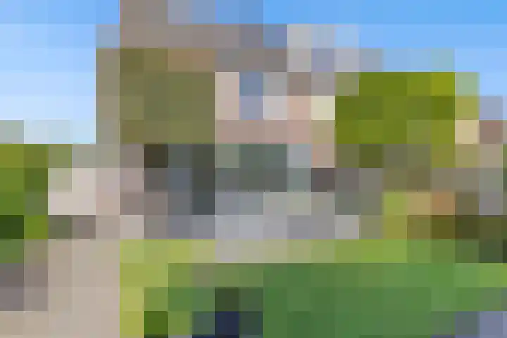 Vlasakker 12 Heino thumbnail 33