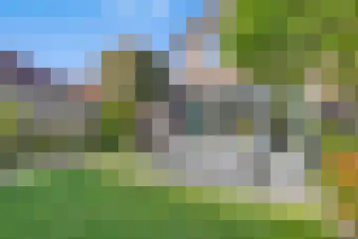 Vlasakker 12 Heino thumbnail 35
