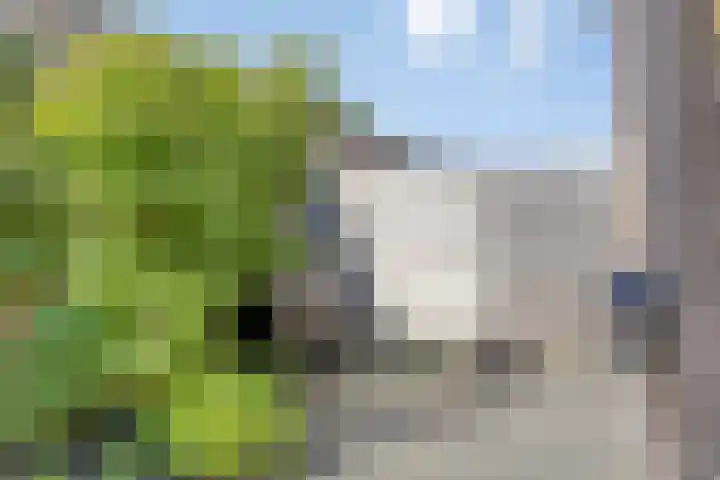 Vlasakker 12 Heino thumbnail 36