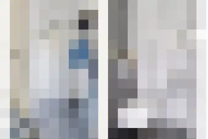 Vlasakker 12 Heino thumbnail 6