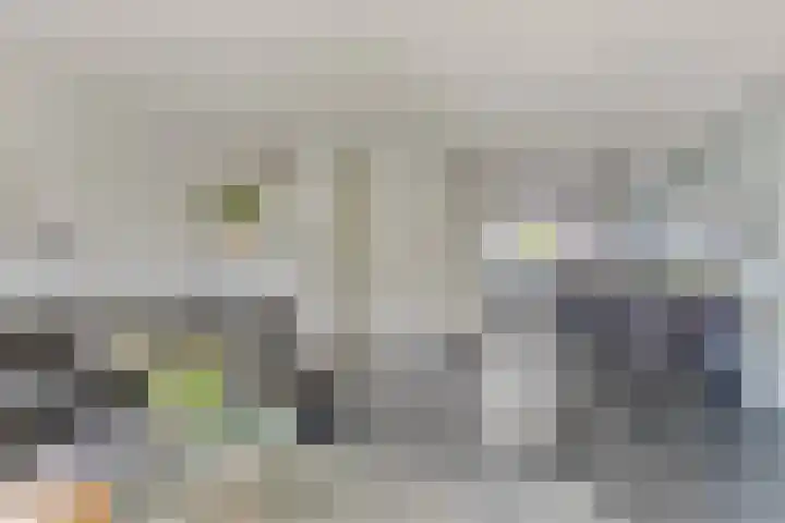 Vlasakker 12 Heino thumbnail 7