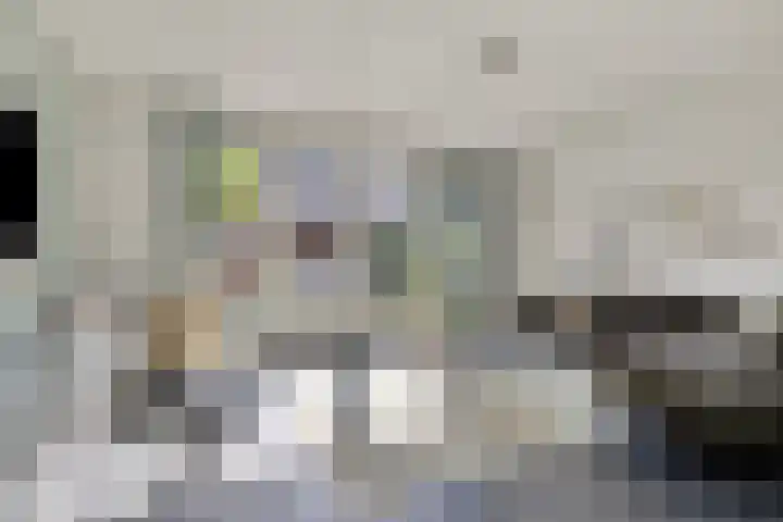 Vlasakker 12 Heino thumbnail 8