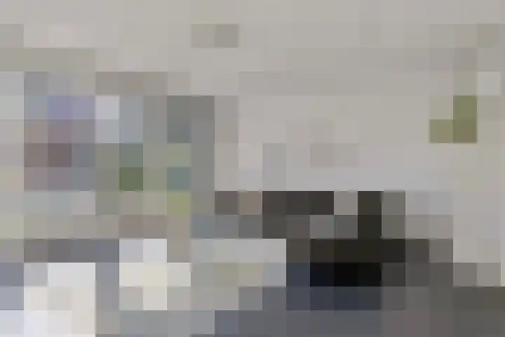 Vlasakker 12 Heino thumbnail 9