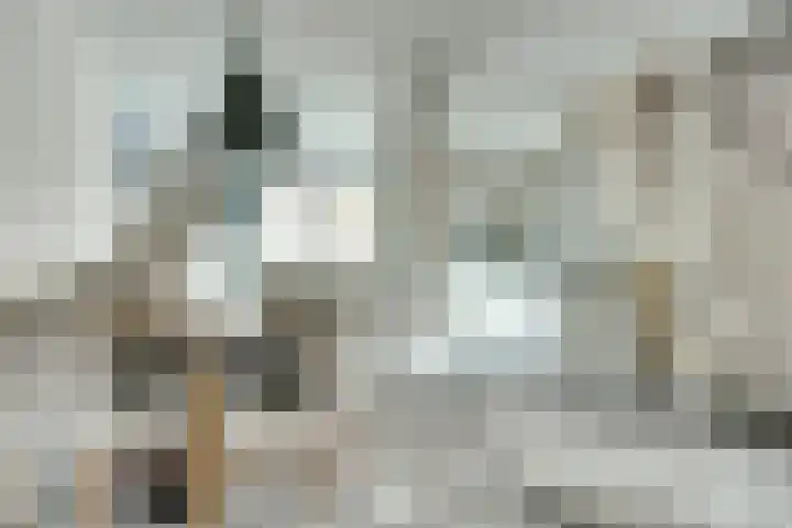 Vlasakker 12 Rockanje thumbnail 14