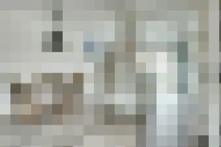 Vlasakker 12 Rockanje thumbnail 15