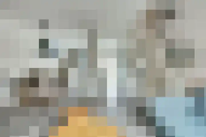 Vlasakker 12 Rockanje thumbnail 16