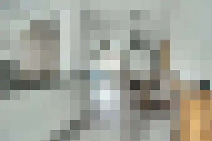 Vlasakker 12 Rockanje thumbnail 17