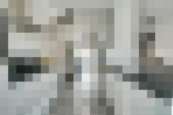 Vlasakker 12 Rockanje thumbnail 18