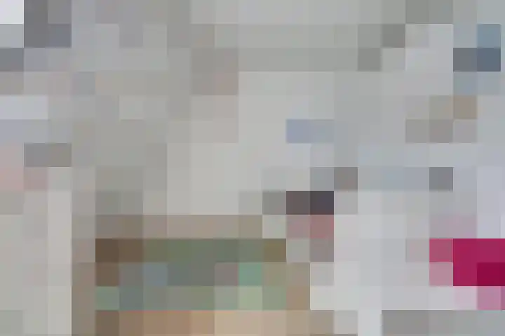 Vlasakker 12 Rockanje thumbnail 26