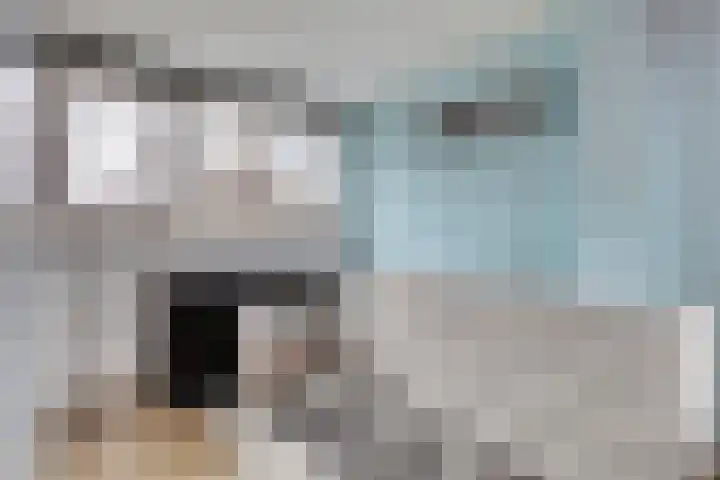 Vlasakker 12 Rockanje thumbnail 36