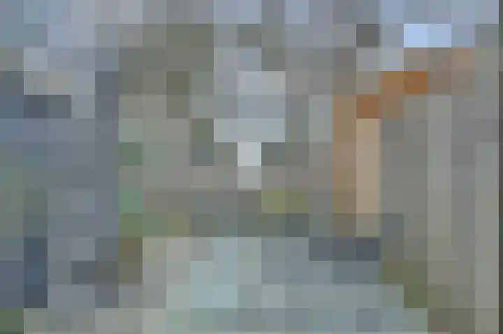 Vlasakker 12 Rockanje thumbnail 38