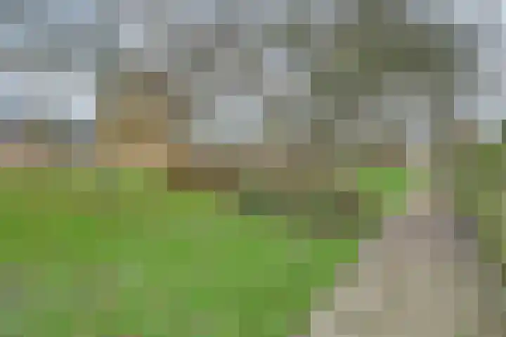 Vlasakker 12 Rockanje thumbnail 42