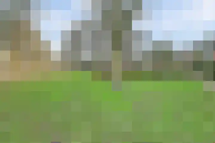 Vlasakker 12 Rockanje thumbnail 43