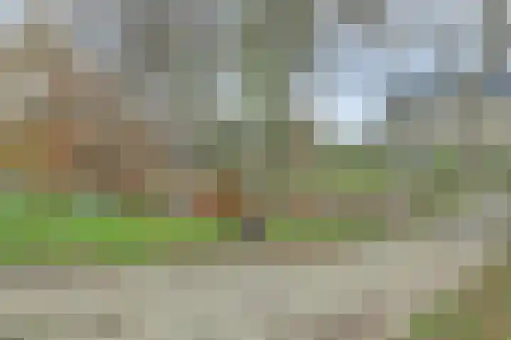 Vlasakker 12 Rockanje thumbnail 44