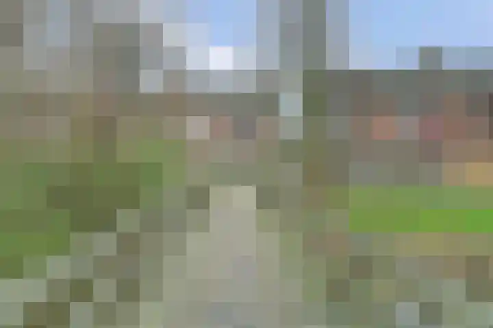 Vlasakker 12 Rockanje thumbnail 45