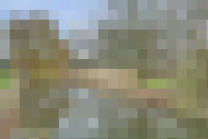 Vlasakker 12 Rockanje thumbnail 46