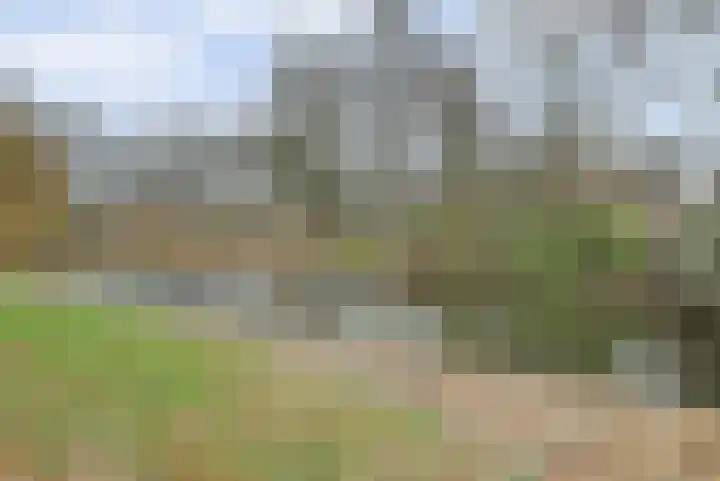 Vlasakker 12 Rockanje thumbnail 47