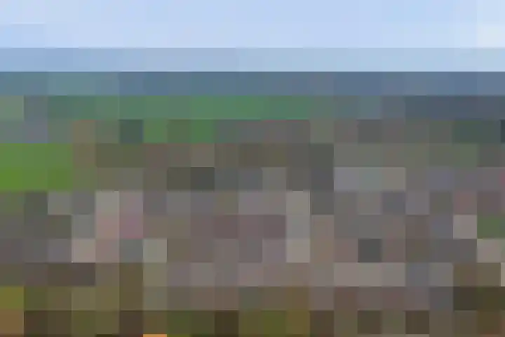 Vlasakker 12 Rockanje thumbnail 49