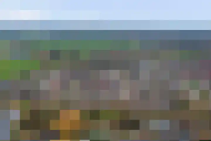 Vlasakker 12 Rockanje thumbnail 50