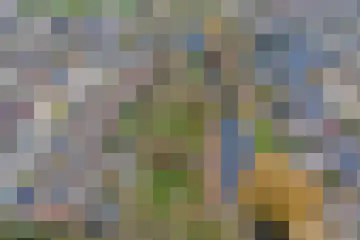 Vlasakker 12 Rockanje thumbnail 51