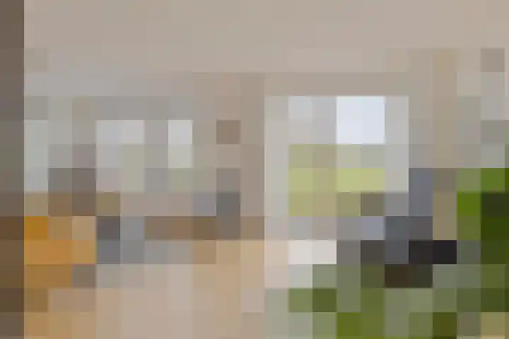 Vlasakker 14 Arnemuiden thumbnail 13