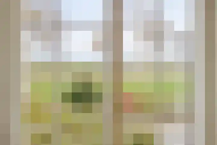 Vlasakker 14 Arnemuiden thumbnail 14
