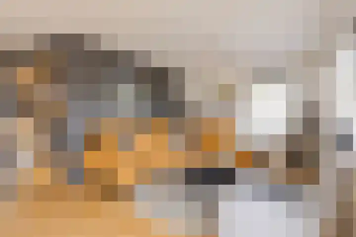 Vlasakker 14 Arnemuiden thumbnail 17