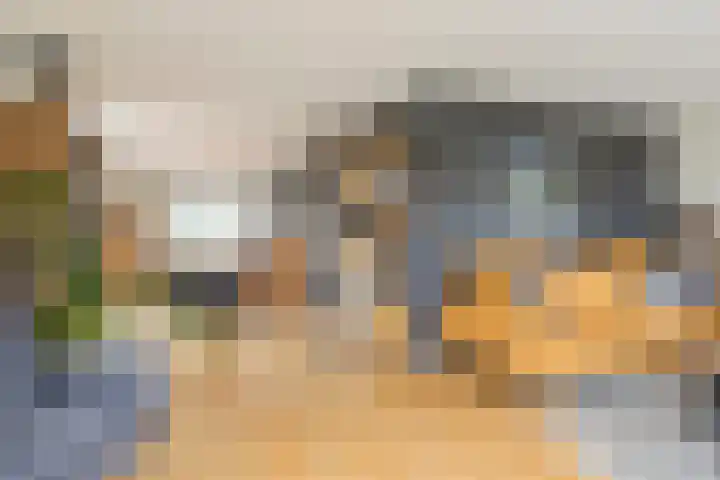 Vlasakker 14 Arnemuiden thumbnail 18