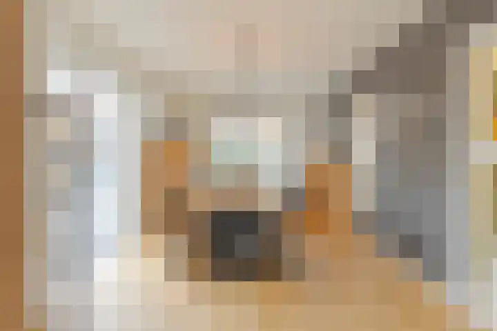 Vlasakker 14 Arnemuiden thumbnail 21