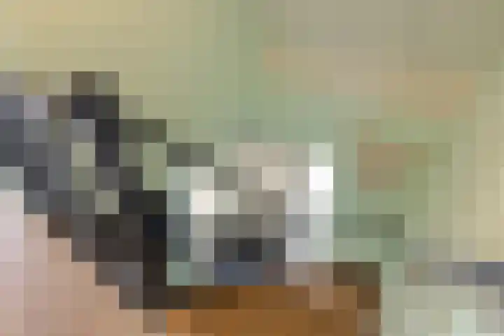 Vlasakker 14 Arnemuiden thumbnail 27