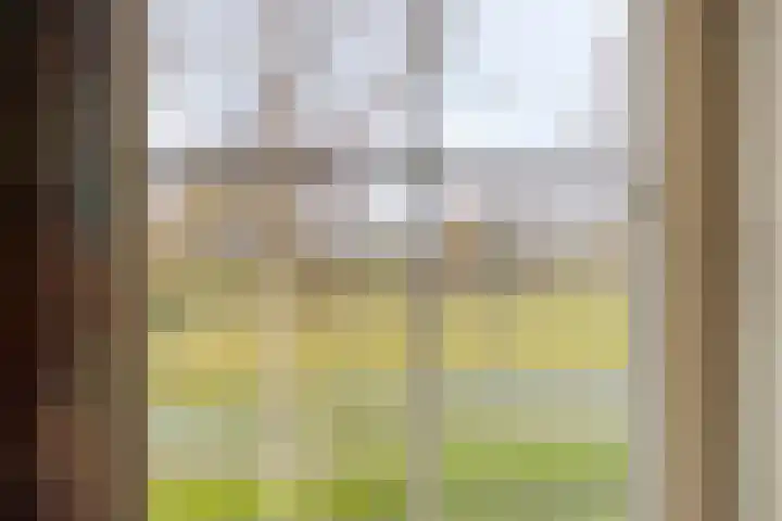Vlasakker 14 Arnemuiden thumbnail 37