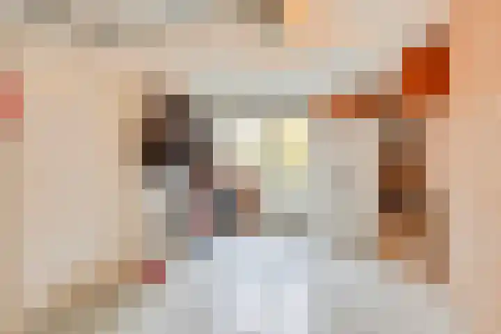 Vlasakker 14 Arnemuiden thumbnail 38