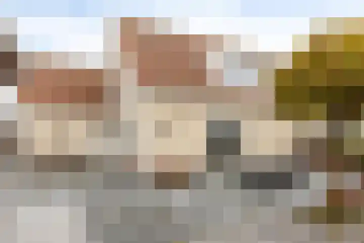 Vlasakker 14 Arnemuiden thumbnail 40