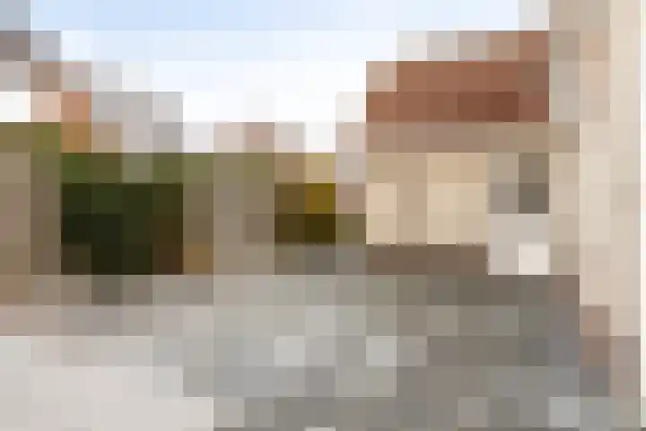 Vlasakker 14 Arnemuiden thumbnail 42