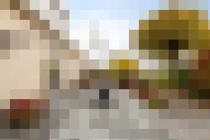 Vlasakker 14 Arnemuiden thumbnail 43