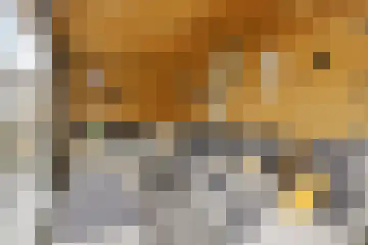 Vlasakker 14 Arnemuiden thumbnail 46