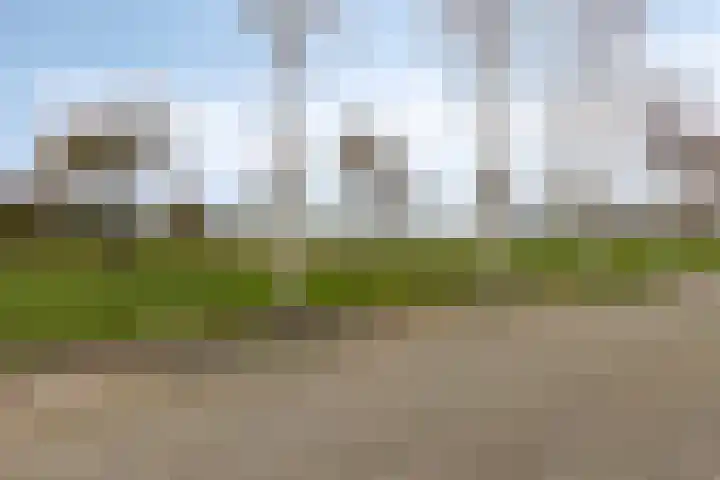 Vlasakker 14 Arnemuiden thumbnail 48