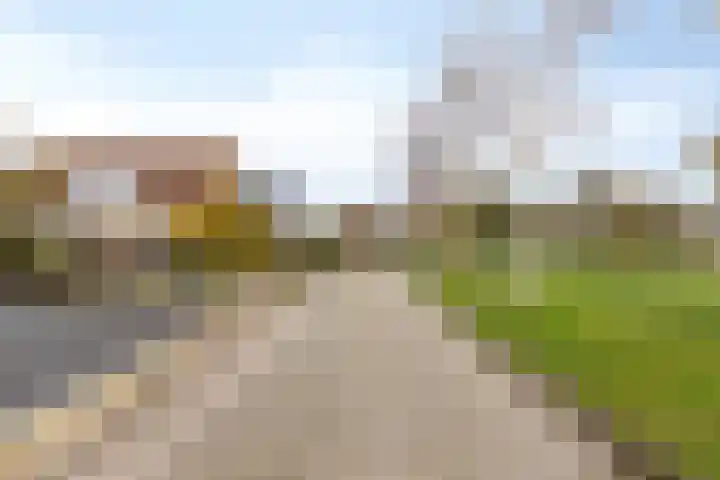 Vlasakker 14 Arnemuiden thumbnail 5