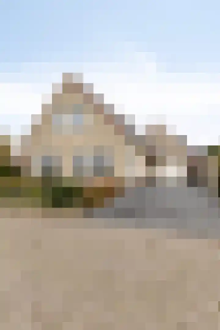 Vlasakker 14 Arnemuiden thumbnail 6