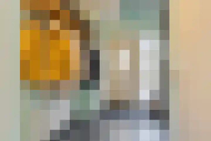 Vlasakker 14 Arnemuiden thumbnail 9