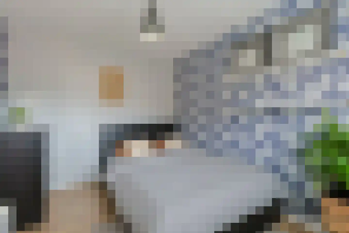 Vlasakker 15 Zevenhoven thumbnail 21