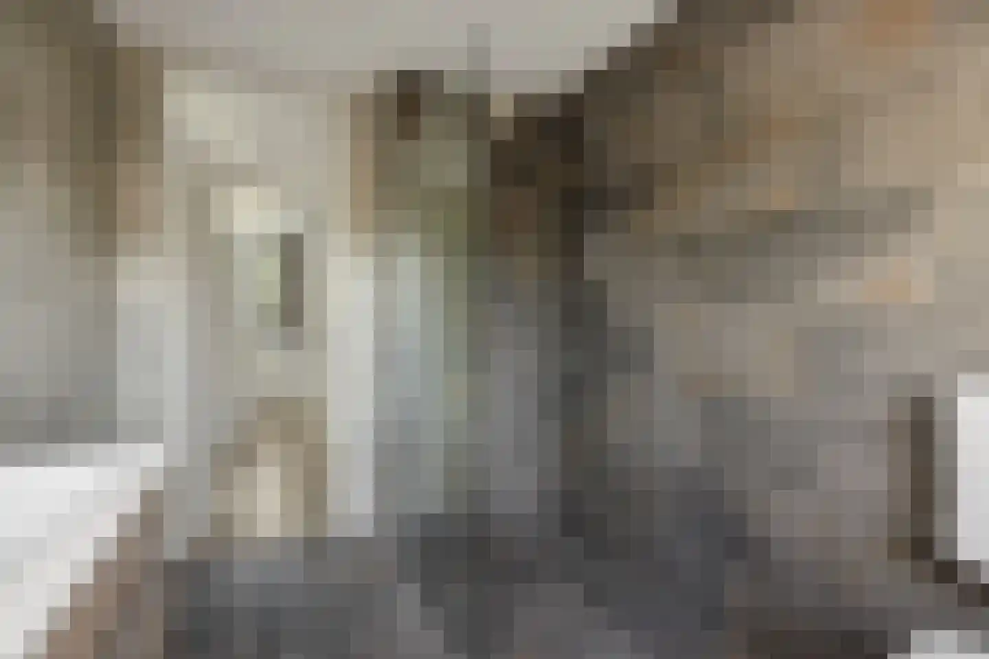 Vlasakker 16 Nuland thumbnail 23